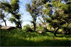 Enlarge photo 177