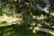 Enlarge photo 176