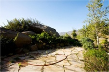 Enlarge photo 190