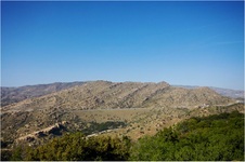 Enlarge photo 202