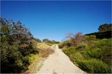 Enlarge photo 217