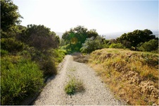 Enlarge photo 208