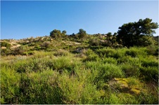 Enlarge photo 214