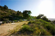 Enlarge photo 216