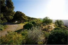 Enlarge photo 211