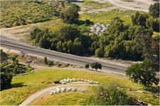 Enlarge photo 218