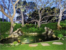Enlarge photo 107