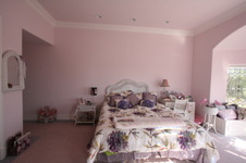 Enlarge photo 80