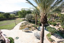 Enlarge photo 107
