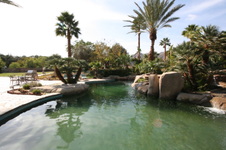 Enlarge photo 124