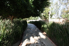 Enlarge photo 127