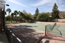 Enlarge photo 135