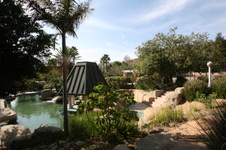 Enlarge photo 139