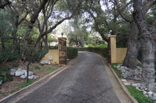 Enlarge photo 7
