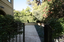 Enlarge photo 273