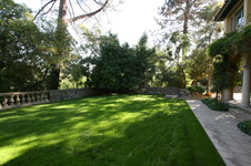 Enlarge photo 275