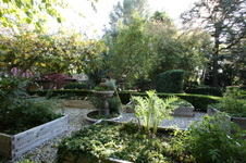 Enlarge photo 291