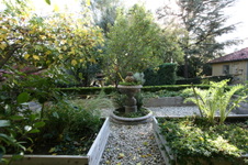 Enlarge photo 294