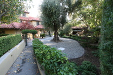 Enlarge photo 296