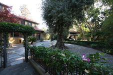 Enlarge photo 297