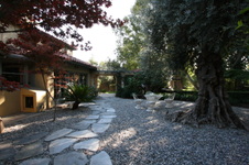Enlarge photo 298
