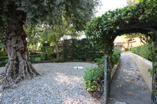 Enlarge photo 299