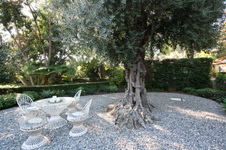 Enlarge photo 300