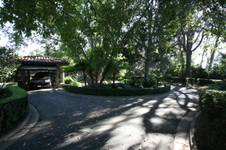 Enlarge photo 303