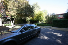 Enlarge photo 305