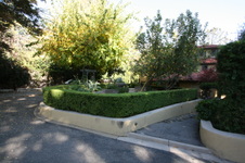 Enlarge photo 308
