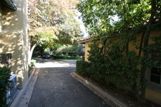 Enlarge photo 311