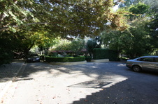 Enlarge photo 312