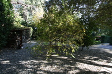 Enlarge photo 315