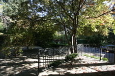 Enlarge photo 316