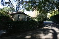 Enlarge photo 318