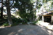 Enlarge photo 320