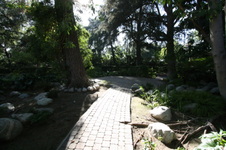 Enlarge photo 321