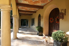 Enlarge photo 14