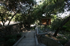 Enlarge photo 327