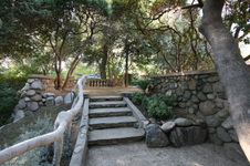 Enlarge photo 329