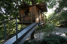 Enlarge photo 330