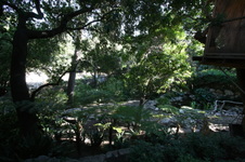 Enlarge photo 331