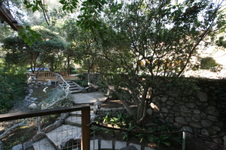 Enlarge photo 333
