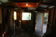 Enlarge photo 334