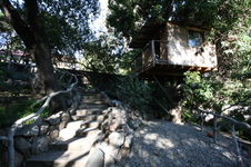 Enlarge photo 336