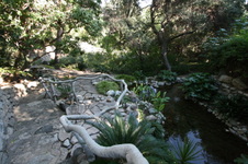 Enlarge photo 337