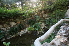 Enlarge photo 338