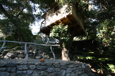 Enlarge photo 339