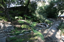 Enlarge photo 341