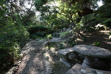 Enlarge photo 342